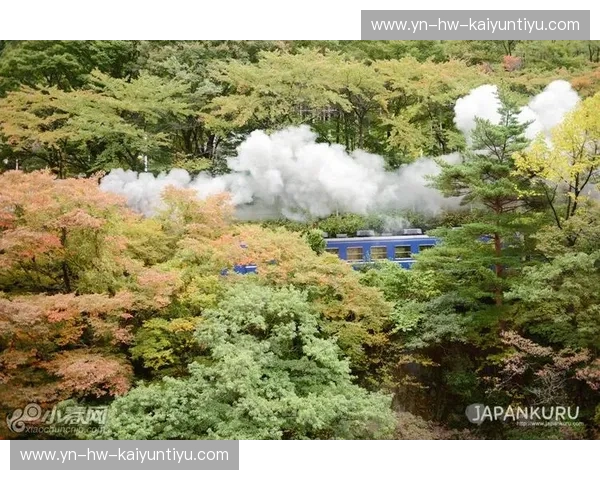群马温泉vs山口：关东的静谧与山阳的活力，温泉体验的终极对决！